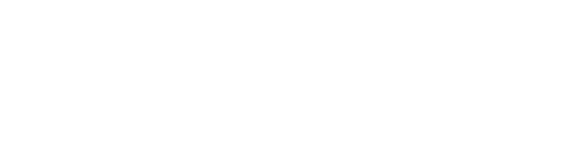 The Ancoderz